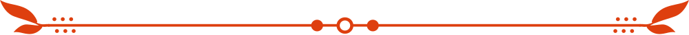 480x25